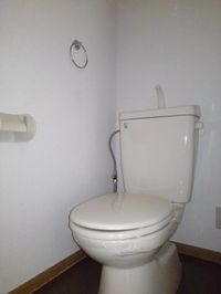清潔感のあるトイレです