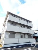 セレナイトの外観