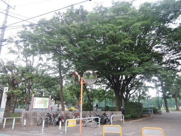 羽根木公園