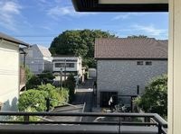 展望