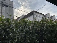 展望
