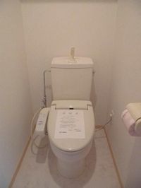 落ち着いた色調のトイレです