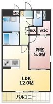 コルニオーロ尾ノ上の間取図