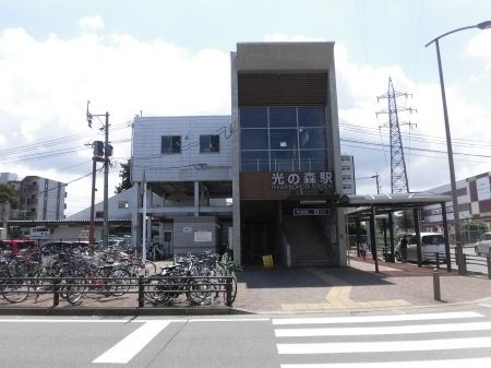 光の森