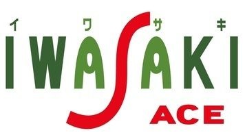 イワサキACE新南部店