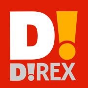 ダイレックス 九品寺店