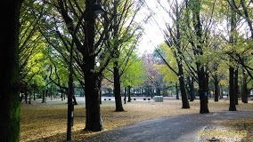 ホームメイト 蘆花公園ザ レジデンス ブライトコート 物件情報 東京都世田谷区 ホームメイト 蘆花公園ザ レジデンス ブライトコート 物件情報 東京都世田谷区