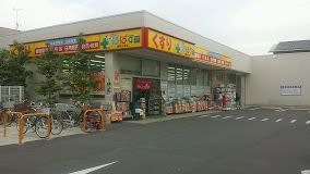 どらっぐぱぱす 西新小岩店