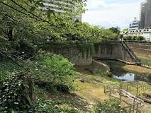 音無もみじ緑地