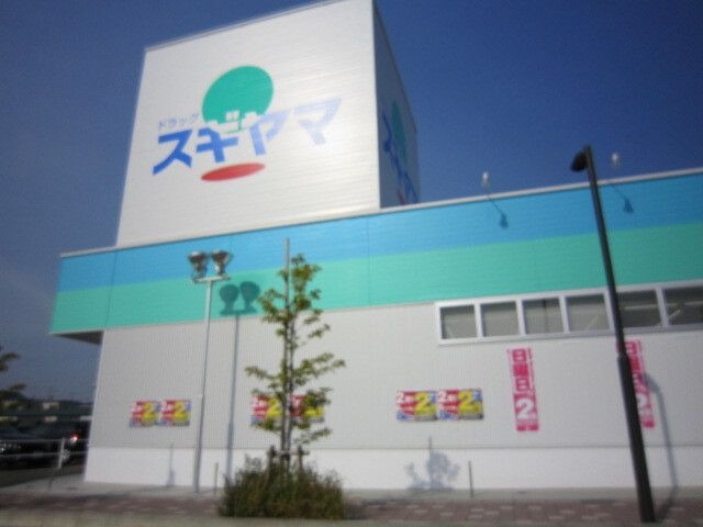 ドラッグスギヤマ 米野木店