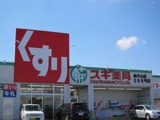 スギドラッグ 姥子山店
