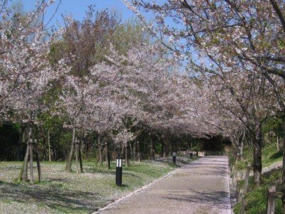水晶山緑地(その他)