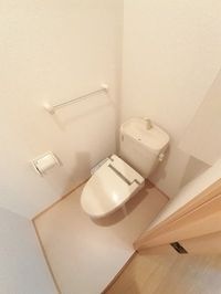 落ち着いた色調のトイレです