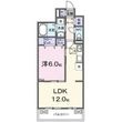 ラピス飯能の間取図