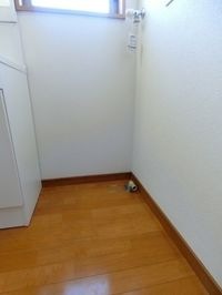 洗面台の横に室内洗濯機置場もあります