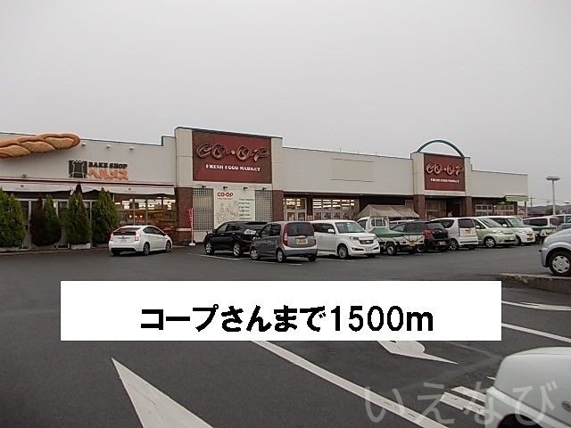 コープ