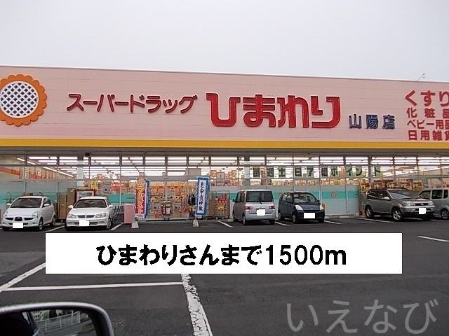 ひまわり