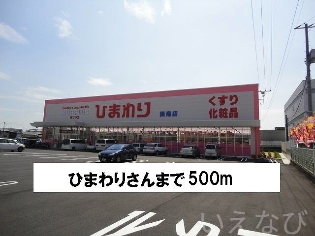写真:ひまわり