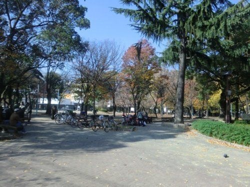 十三公園
