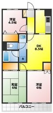ドリーミー静の間取図