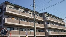 エレガンシア金剛の外観