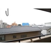 展望