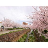 展望