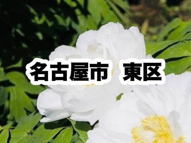 東区役所|名古屋市東区