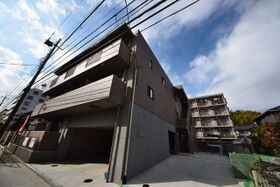 ビオラの外観