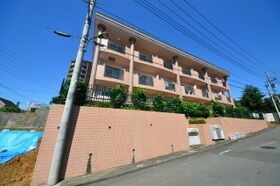 ルピナス7の外観