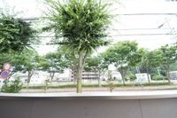 ★陽当りのよいお部屋です★