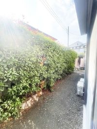 内観
