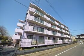 原当麻Mハイツの外観