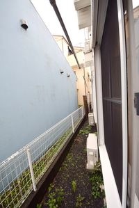 〜今日も朝からお洗濯〜