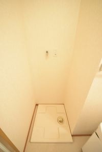 ★やっぱり室内洗濯機★