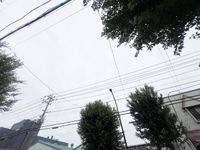 〜ヤッホー〜