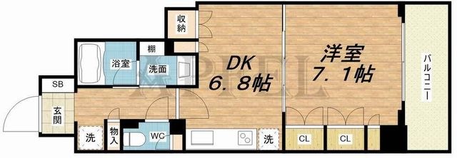 拡大写真:ルネフラッツ谷町四丁目 11階1106の間取り