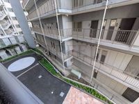 展望