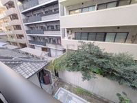 展望