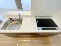 同型完成モデル