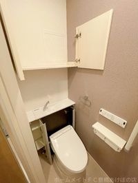 同型完成モデル