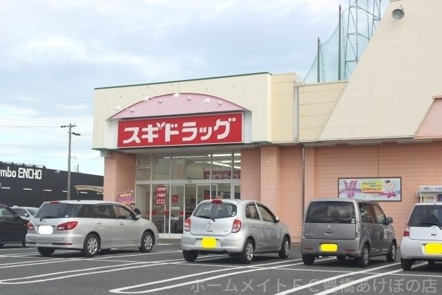 スギドラッグ神野店