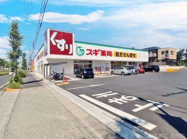 スギ薬局飯村東店