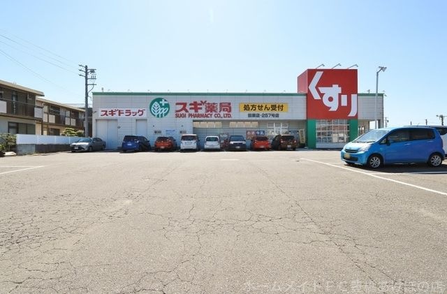 写真：スギ薬局田原店