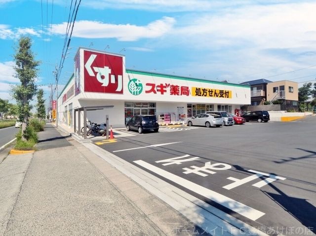 スギ薬局飯村東店