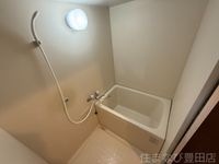 同型タイプ