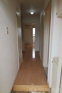 同型タイプ