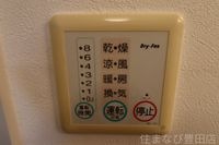 同型タイプ