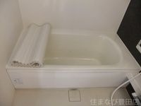 同型タイプ