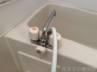 同型タイプ